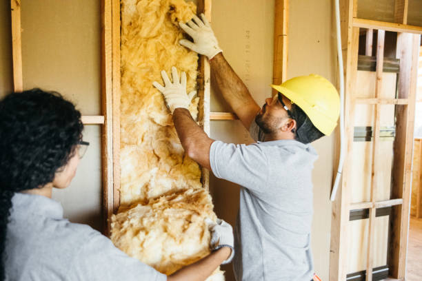 Insulation Replacement Services in Solomon, KS